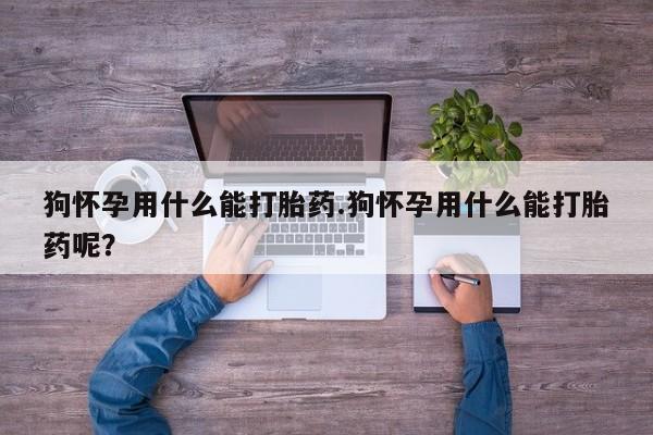 药流药在线购买狗怀孕用什么能打胎药.狗怀孕用什么能打胎药呢？