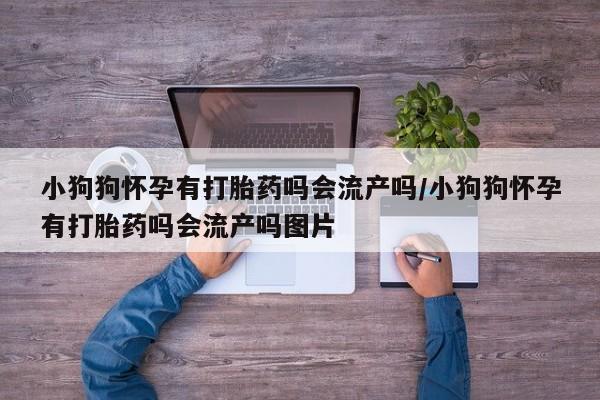 药流药在线购买小狗狗怀孕有打胎药吗会流产吗/小狗狗怀孕有打胎药吗会流产吗图片