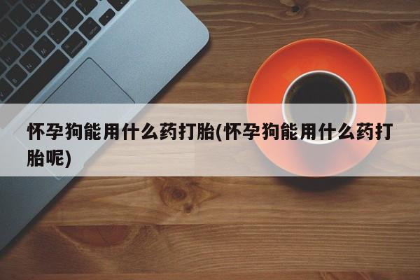 药流药在线购买怀孕狗能用什么药打胎(怀孕狗能用什么药打胎呢)